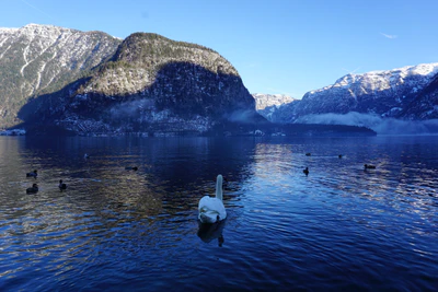 mountain lake medieval town 089 — Descargar