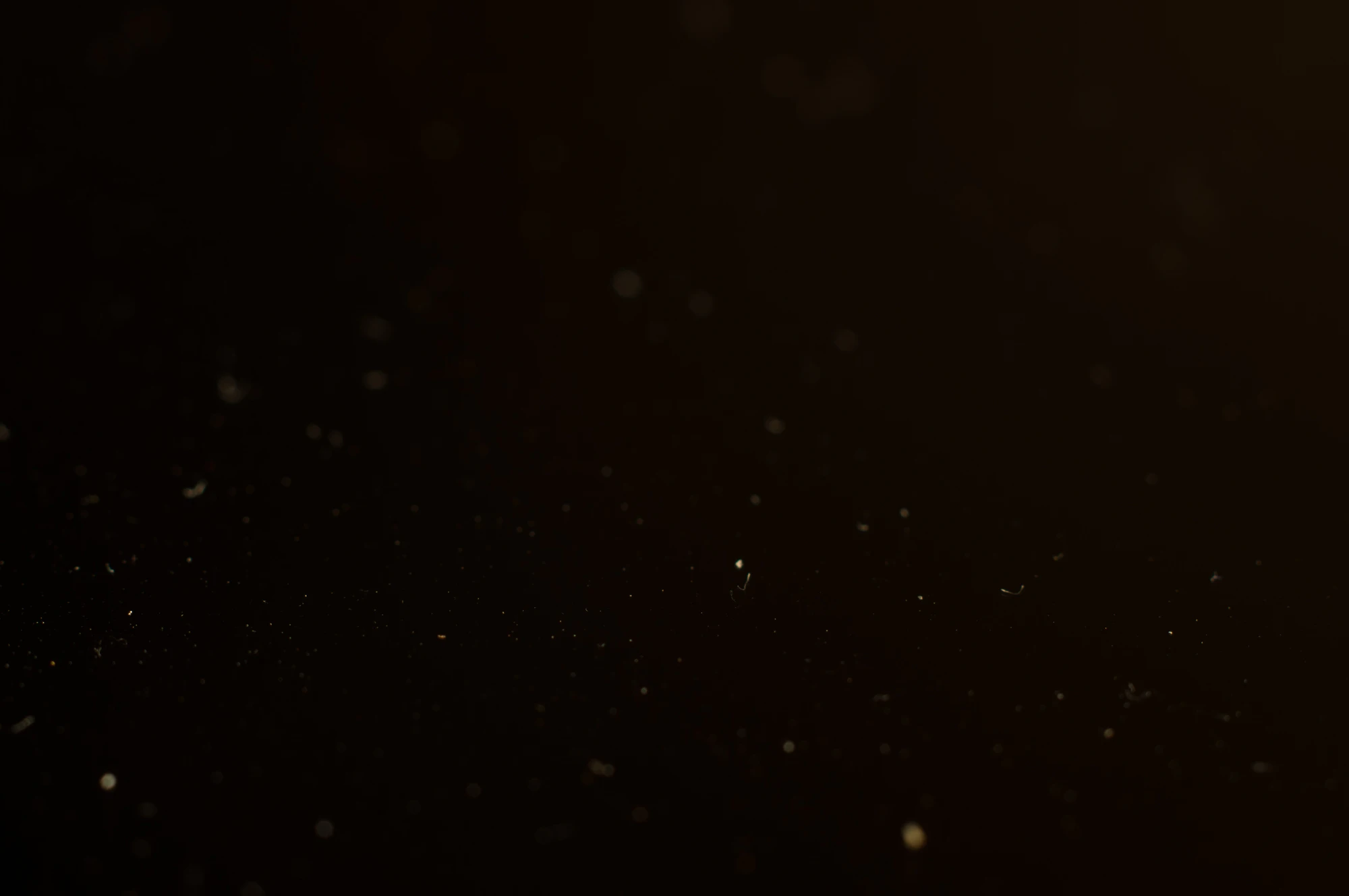 particles 001 — Скачать