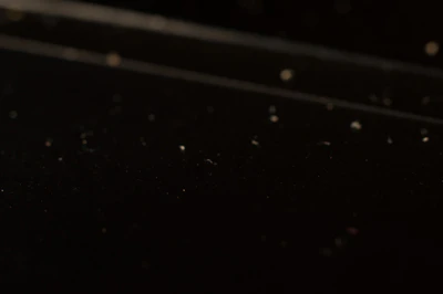 particles 009 — Download