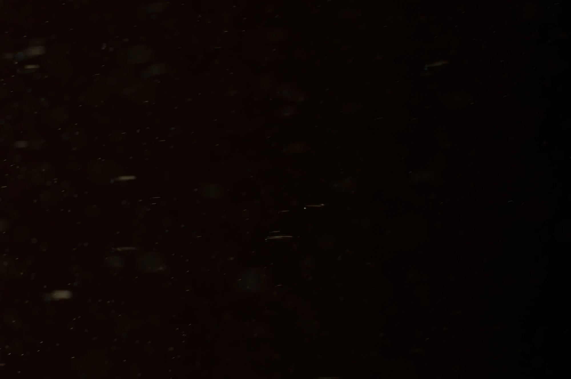 particles 029 — Descargar