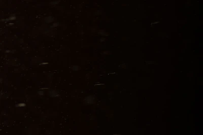particles 029 — Descargar