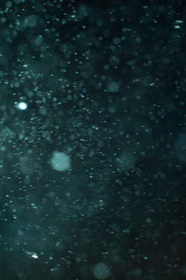 particles 072 — Descargar