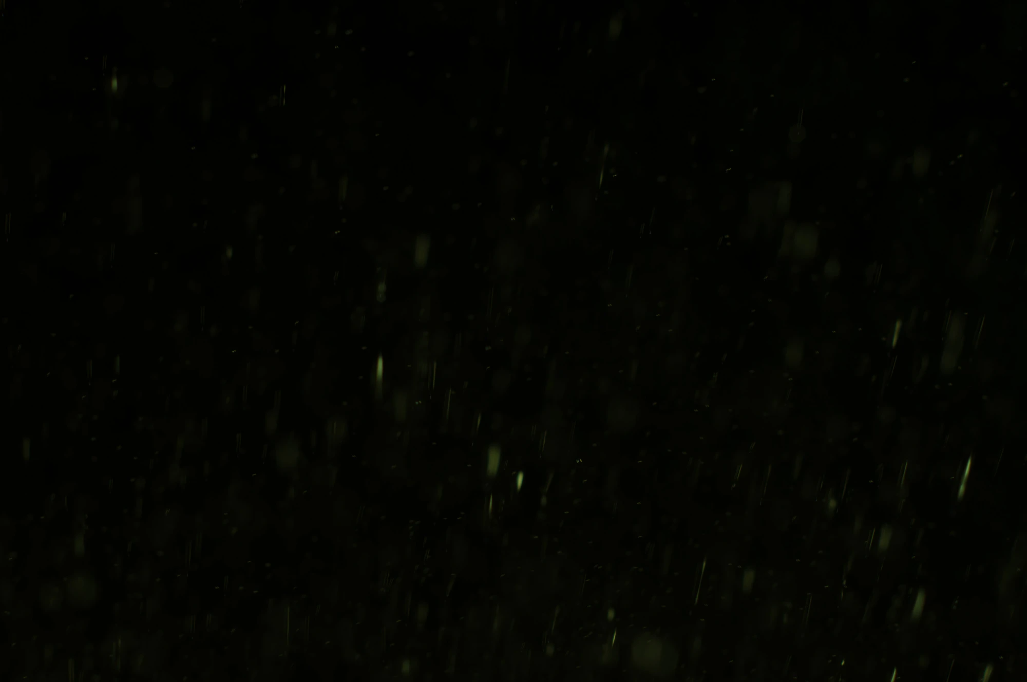 particles 078 — Descargar