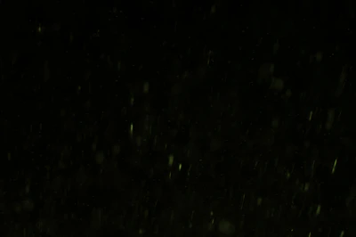 particles 078 — Descargar