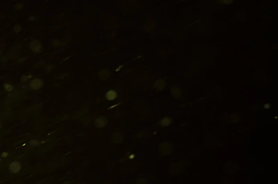 particles 079 — Скачать