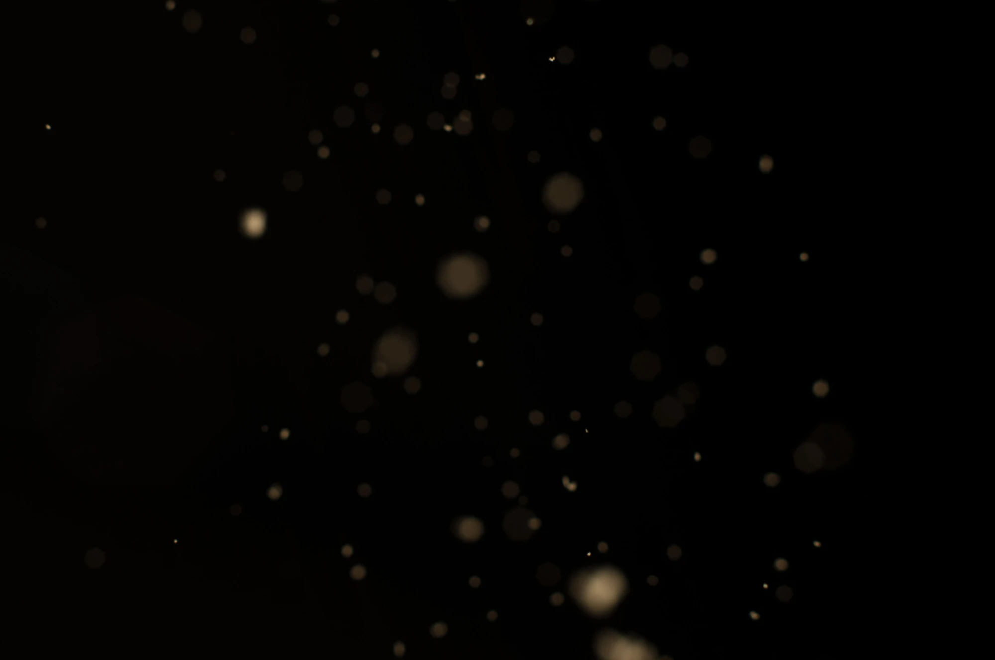 particles 088 — Descargar