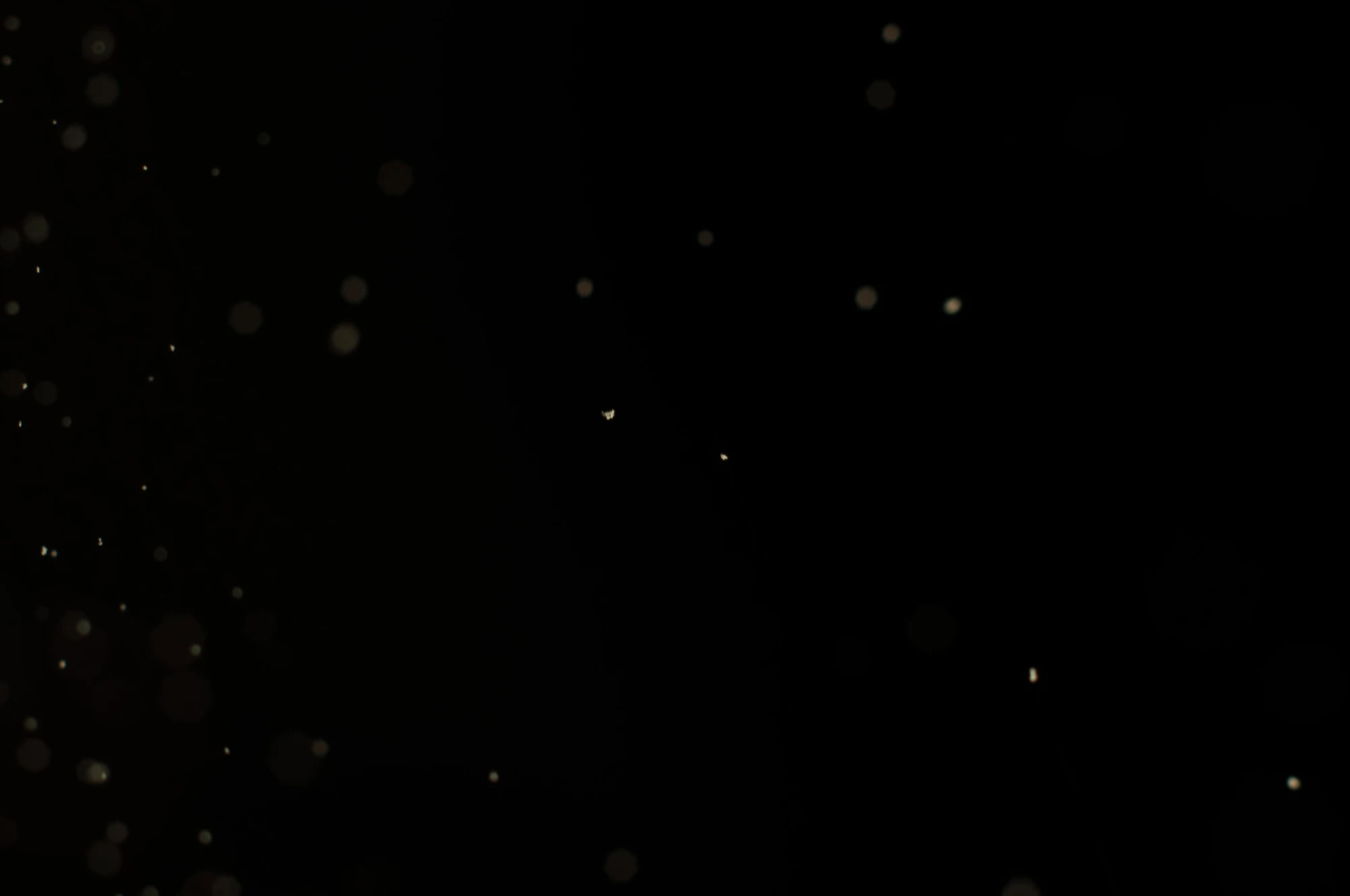 particles 089 — Descargar