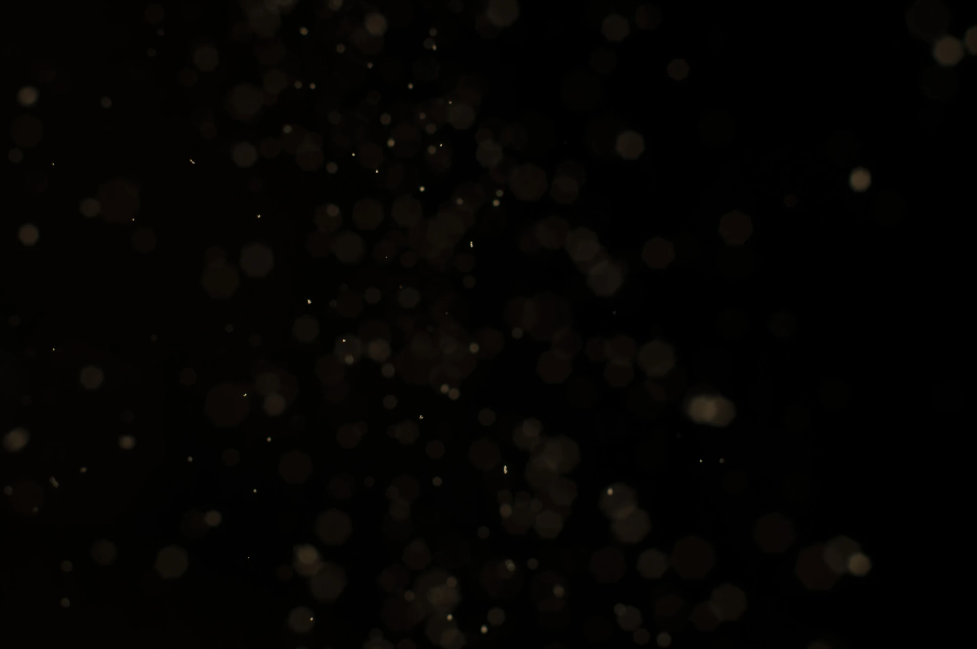 particles 090 — Descargar