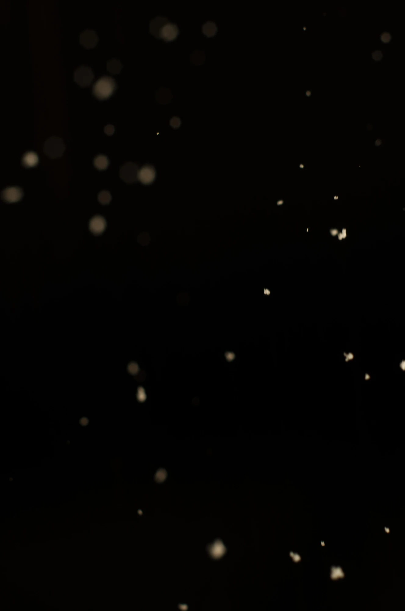 particles 091 — Descargar