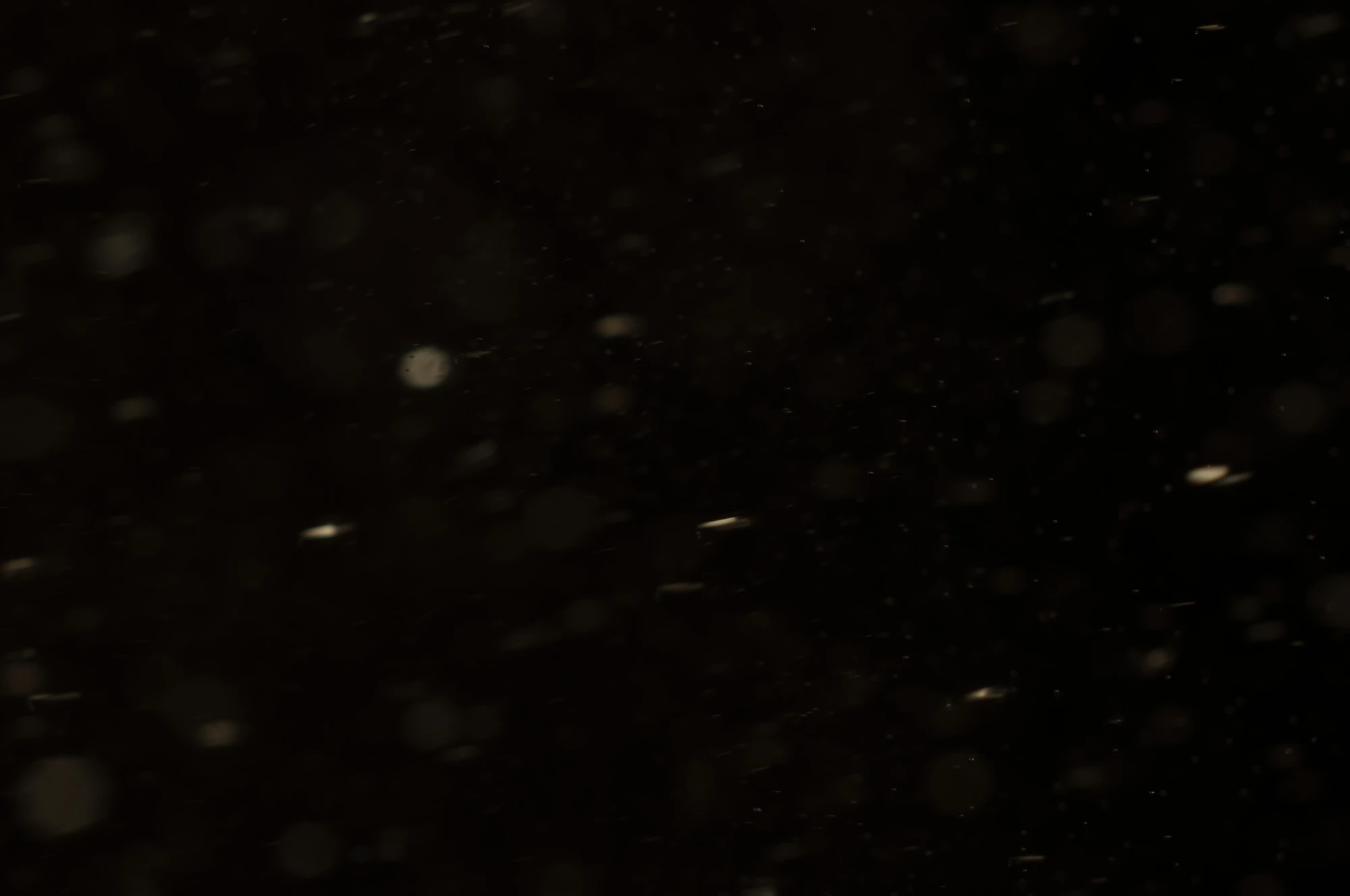 particles 095 — Descargar