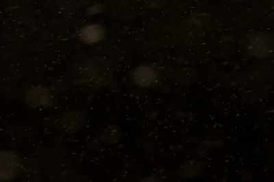 particles 101 — скачать