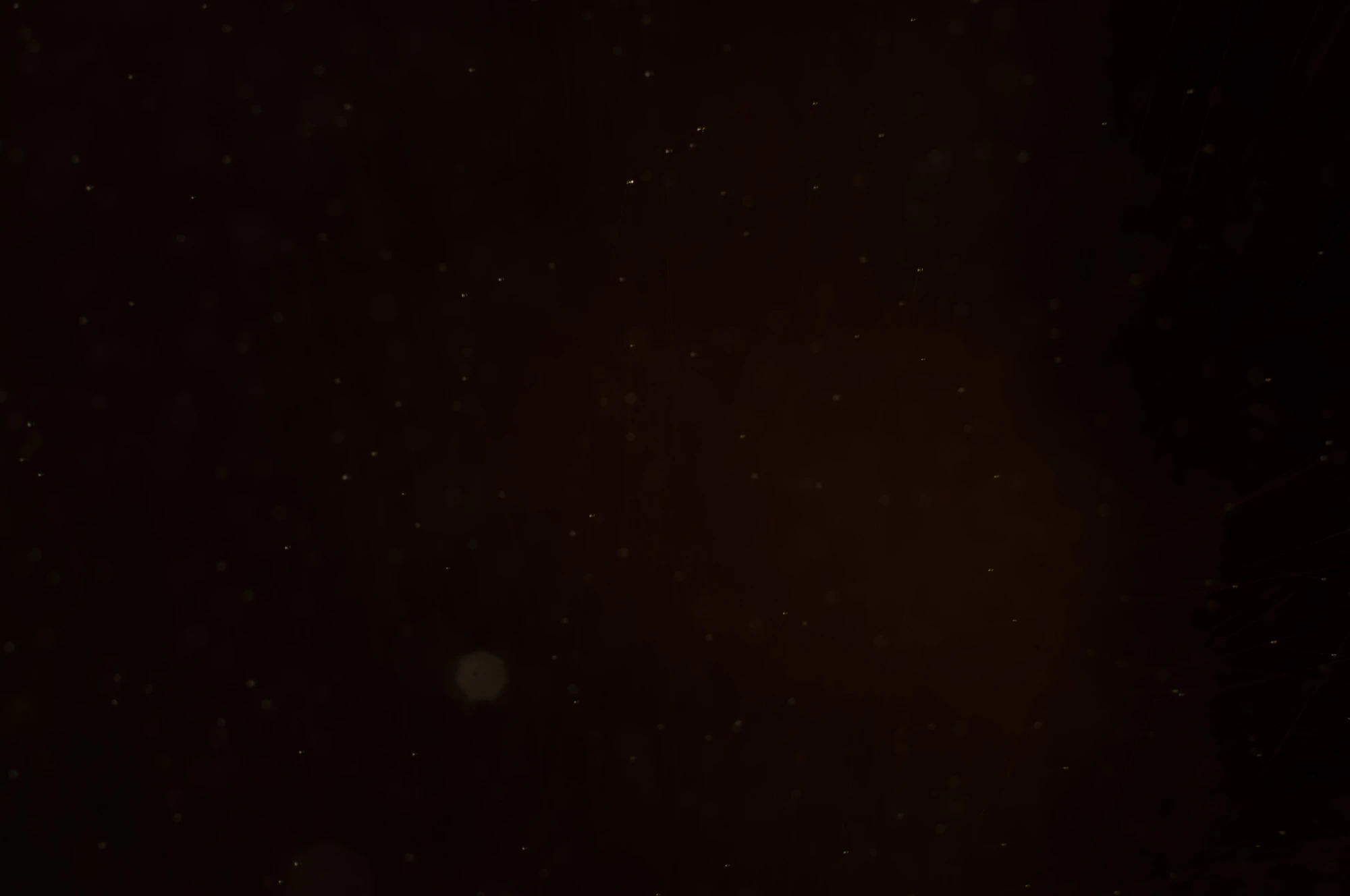 particles 110 — Скачать