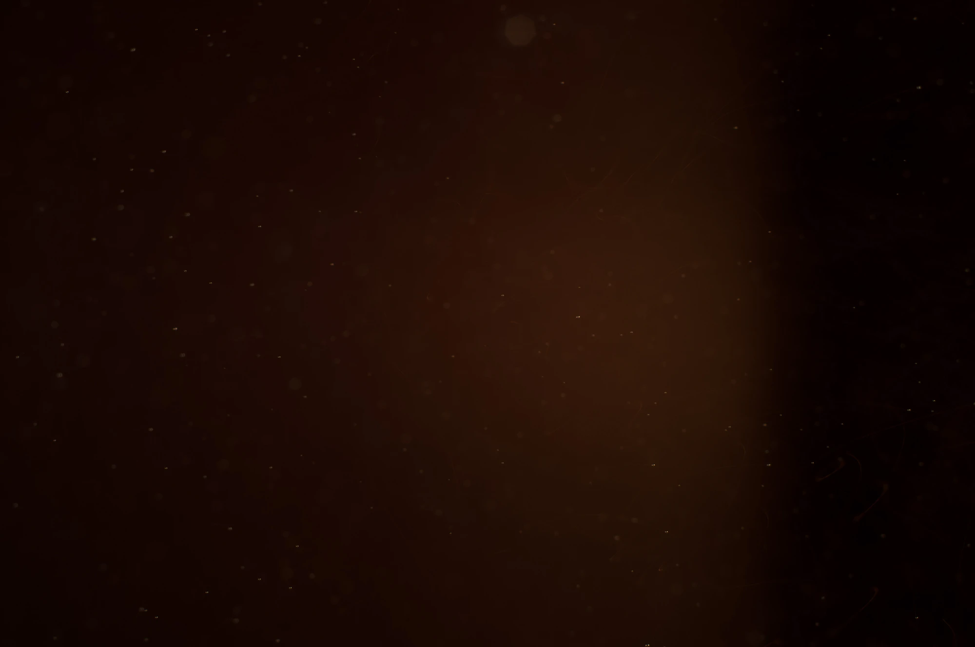 particles 113 — Descargar