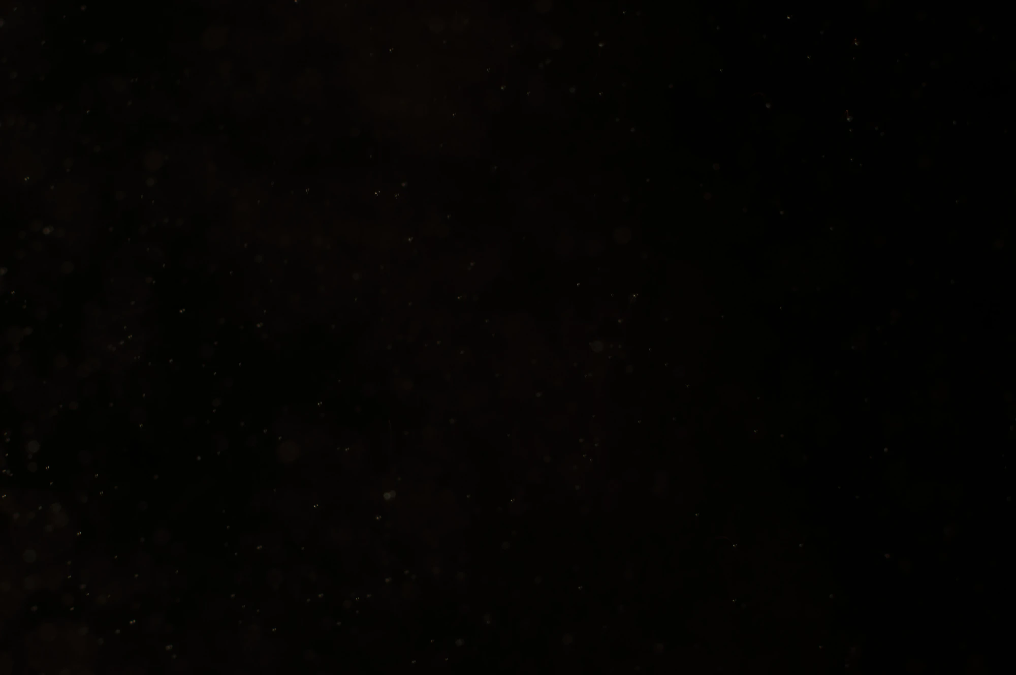 particles 114 — Скачать