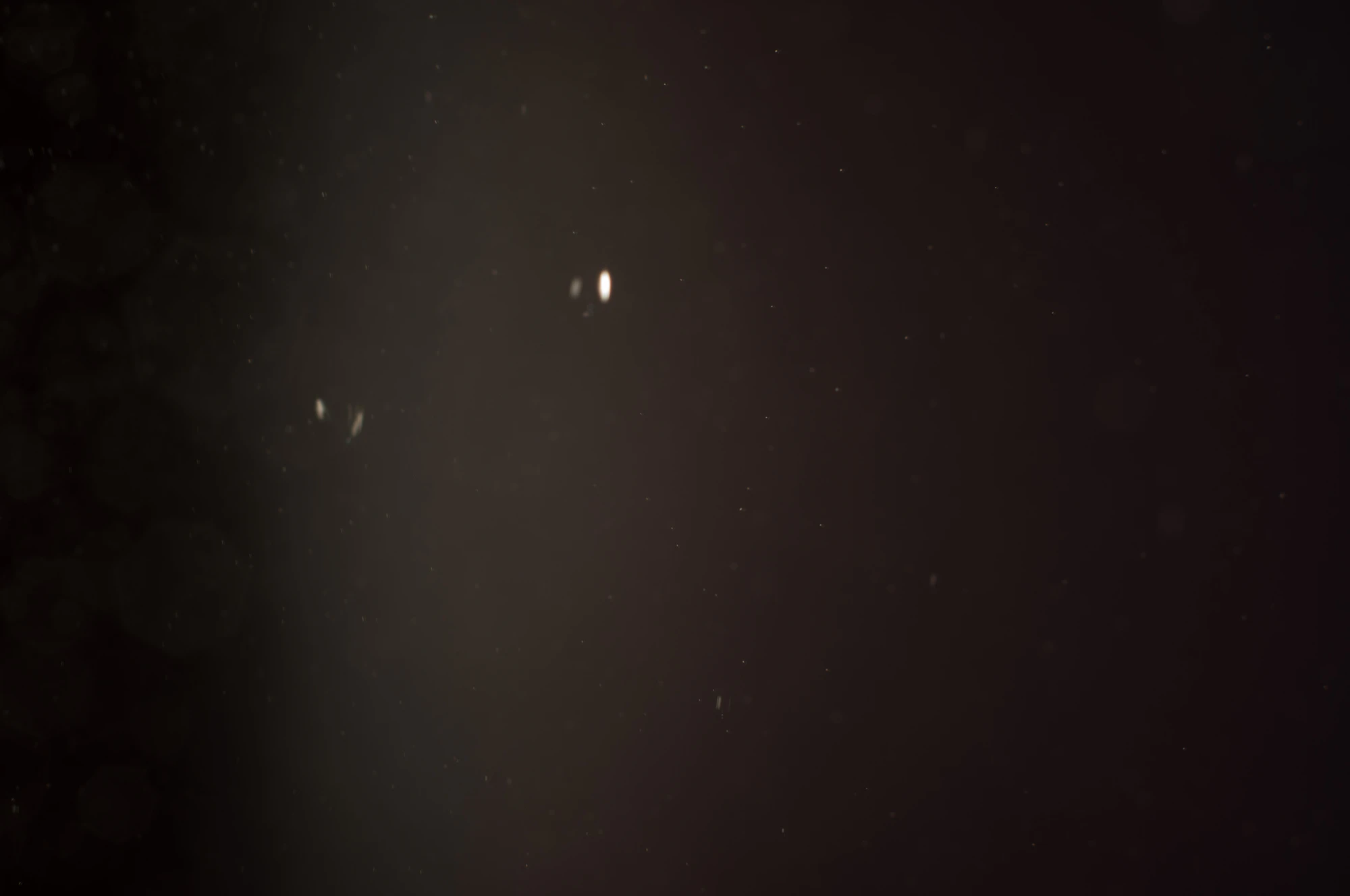 particles 124 — Скачать