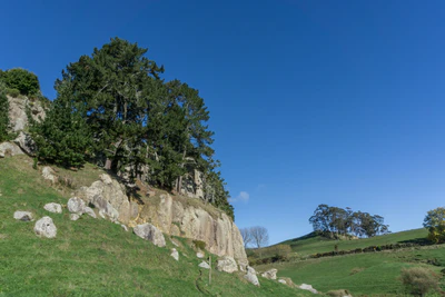 porous limestone cliffs 008 — Descargar