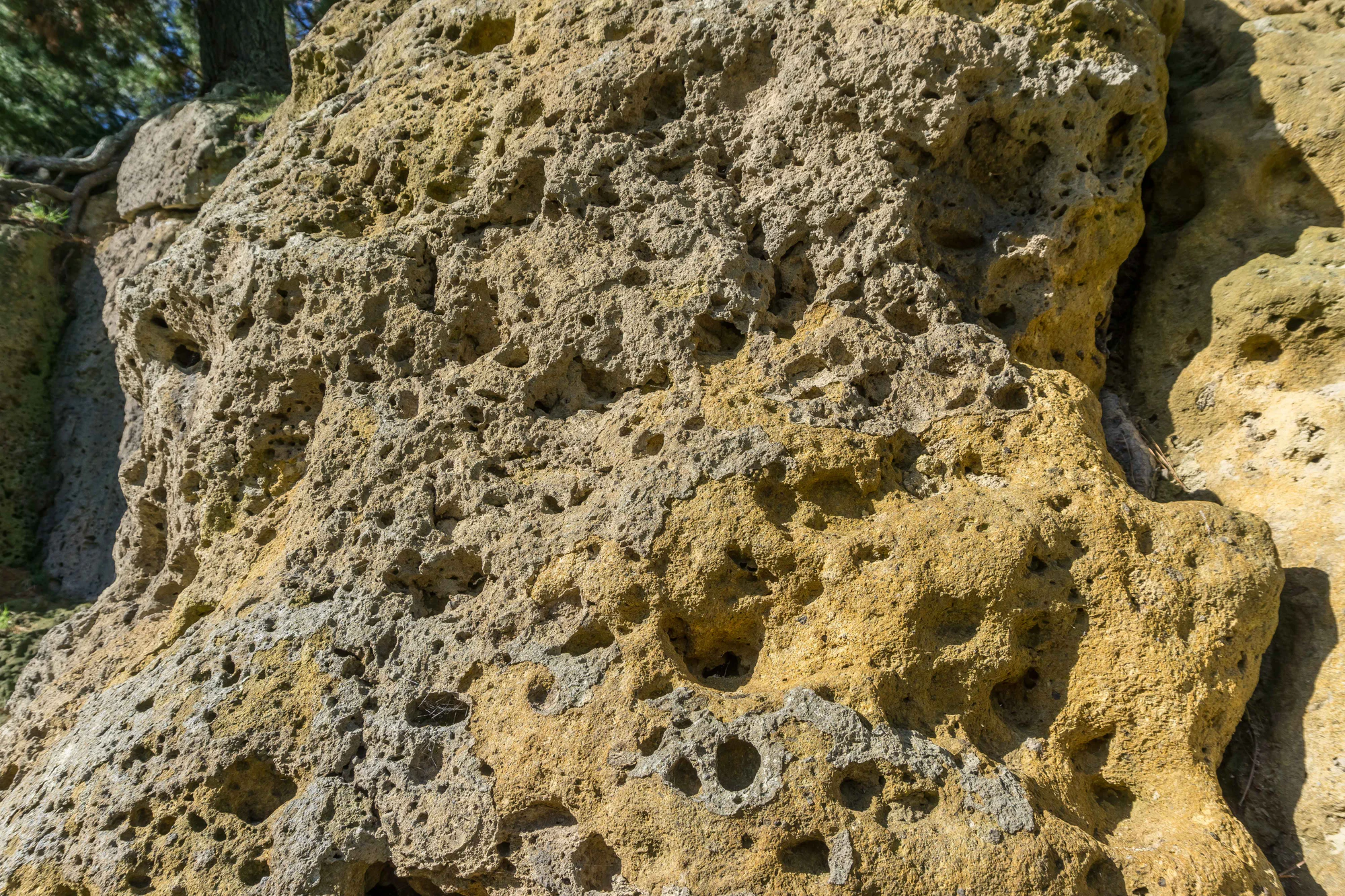 porous limestone cliffs 017 — Descargar