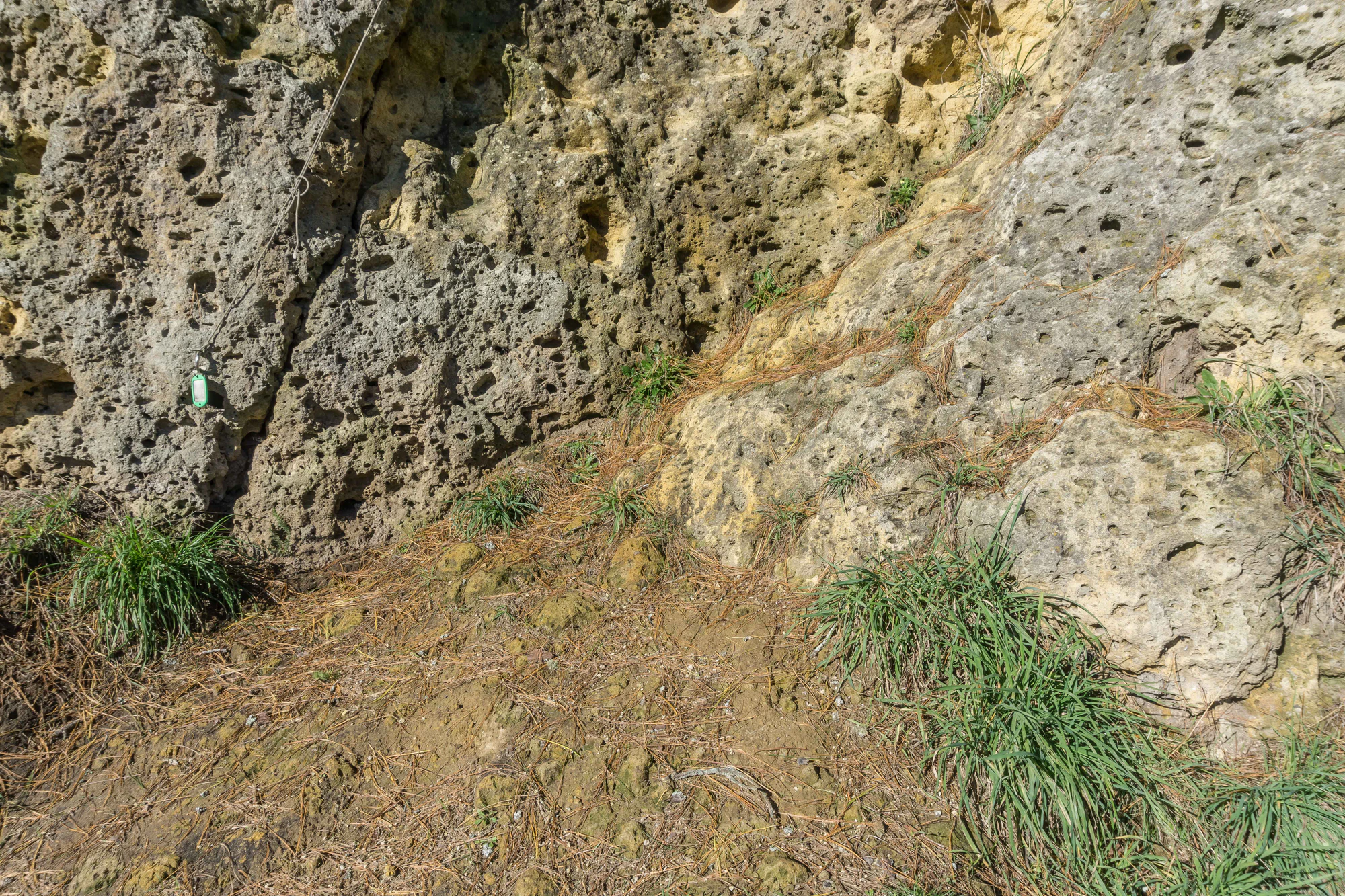 porous limestone cliffs 020 — Descargar