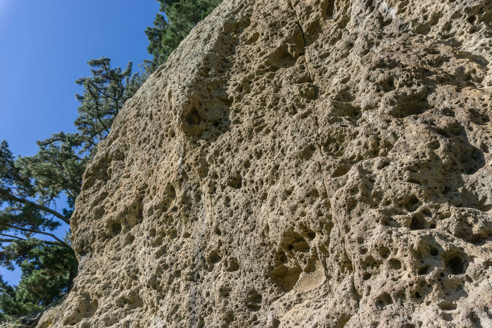 porous limestone cliffs 021 — Скачать