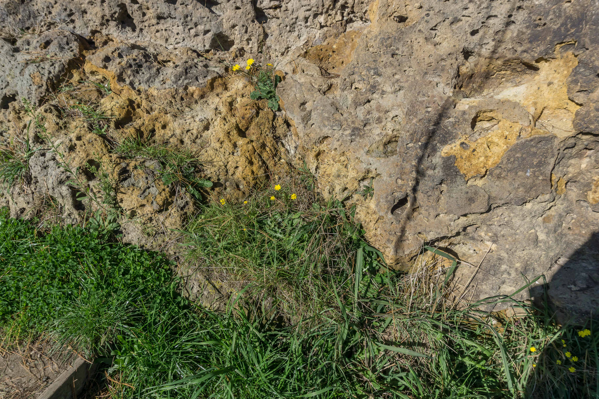 porous limestone cliffs 025 — Скачать