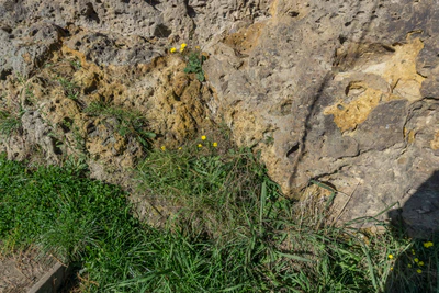 porous limestone cliffs 025 — Скачать