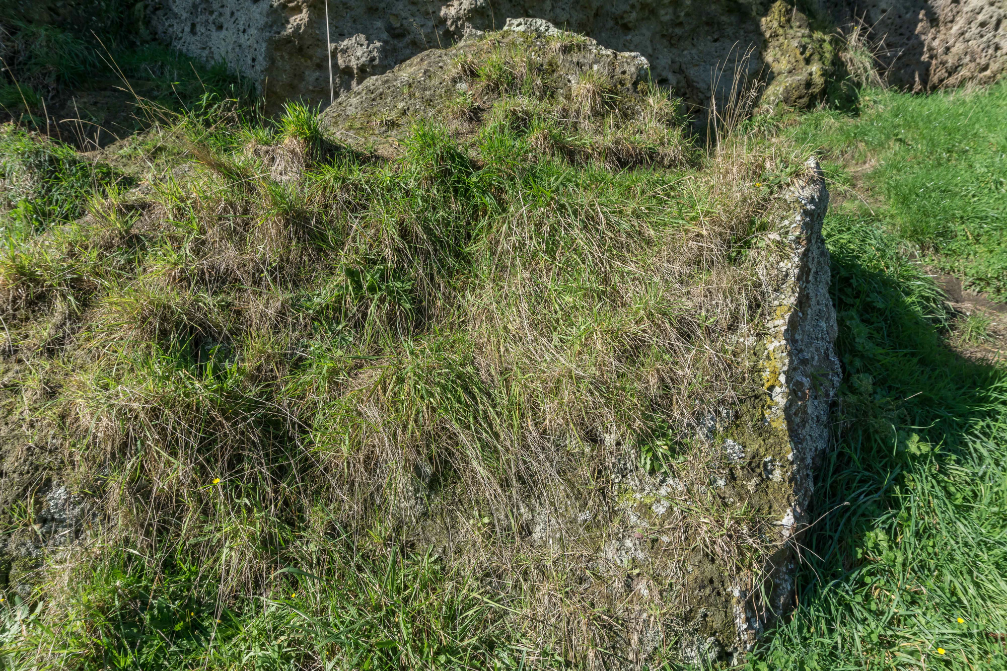 porous limestone cliffs 027 — Descargar