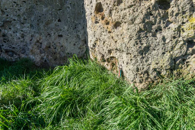 porous limestone cliffs 038 — Скачать