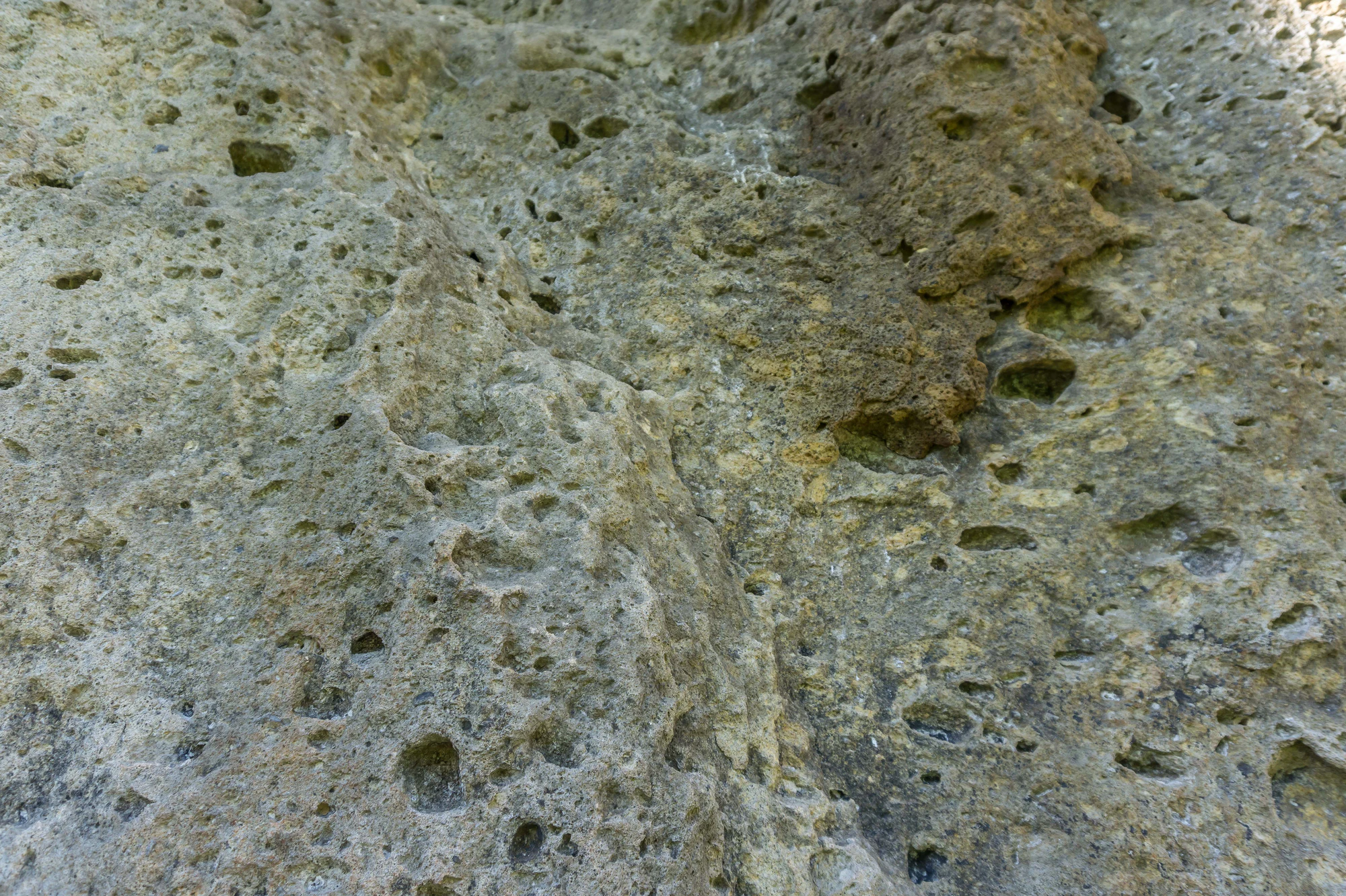 porous limestone cliffs 045 — Скачать