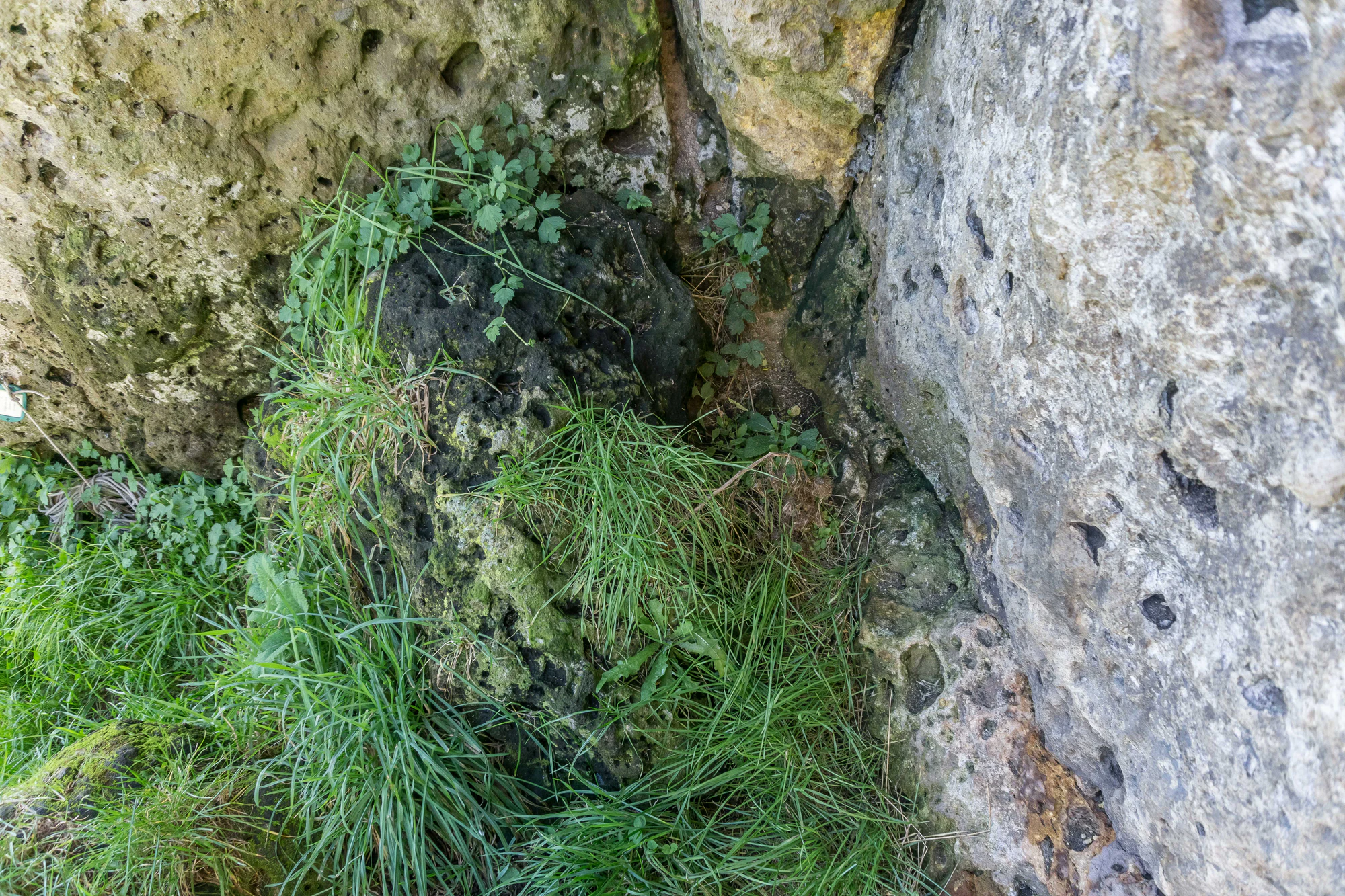 porous limestone cliffs 046 — Descargar
