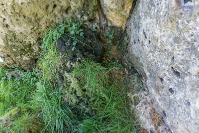 porous limestone cliffs 046 — Descargar
