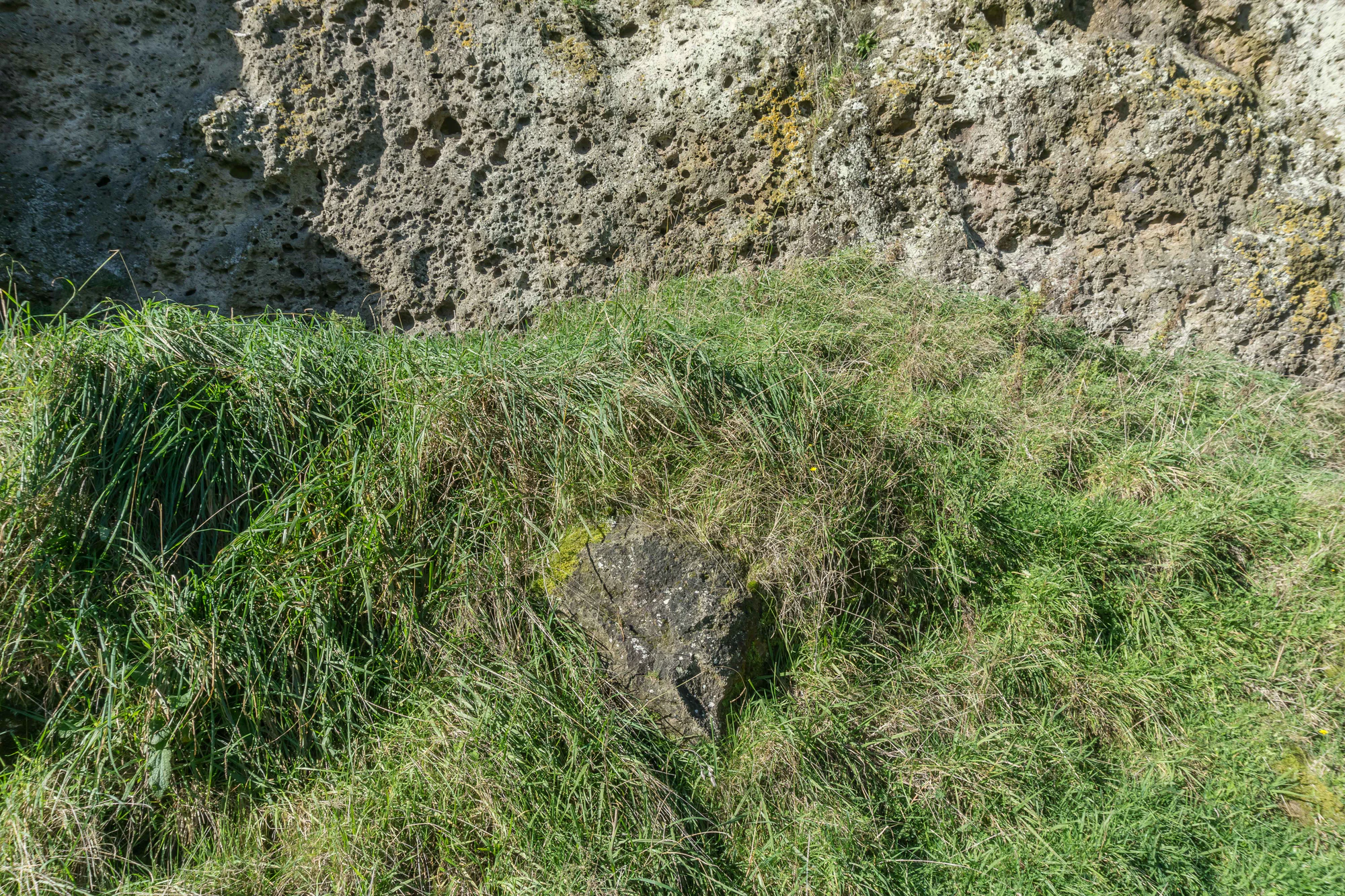 porous limestone cliffs 047 — Скачать