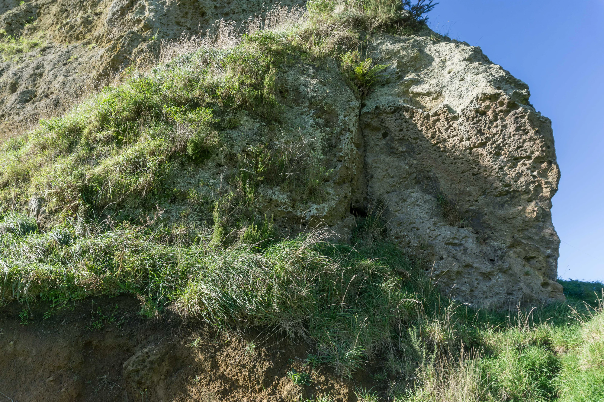 porous limestone cliffs 051 — Скачать
