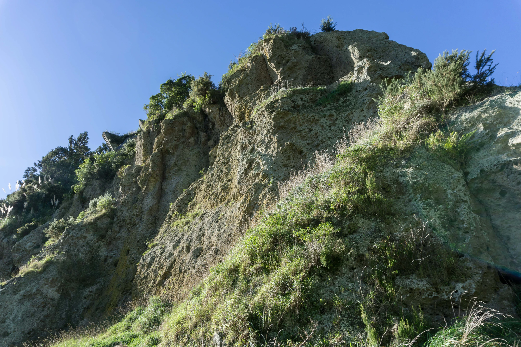 porous limestone cliffs 052 — Скачать