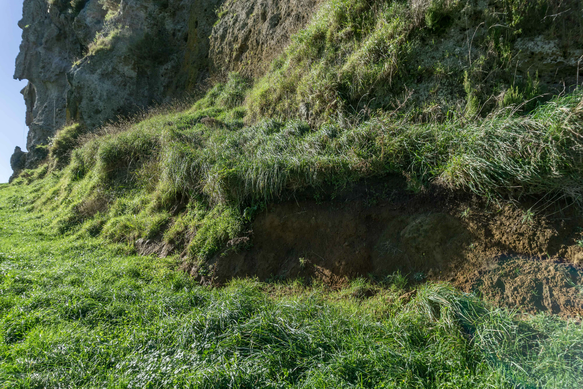 porous limestone cliffs 053 — Скачать