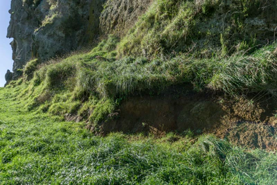 porous limestone cliffs 053 — Скачать