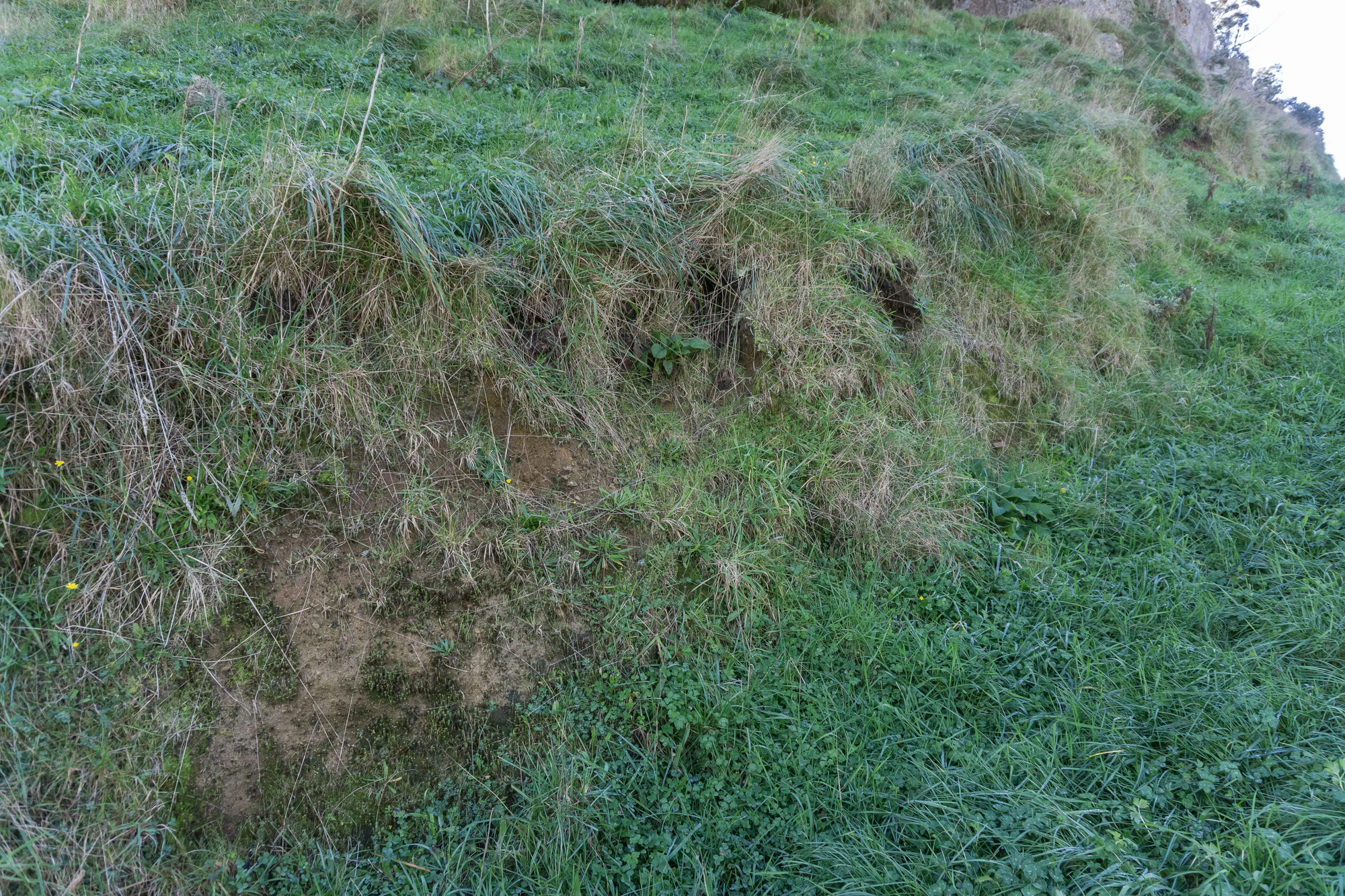 porous limestone cliffs 057 — Скачать