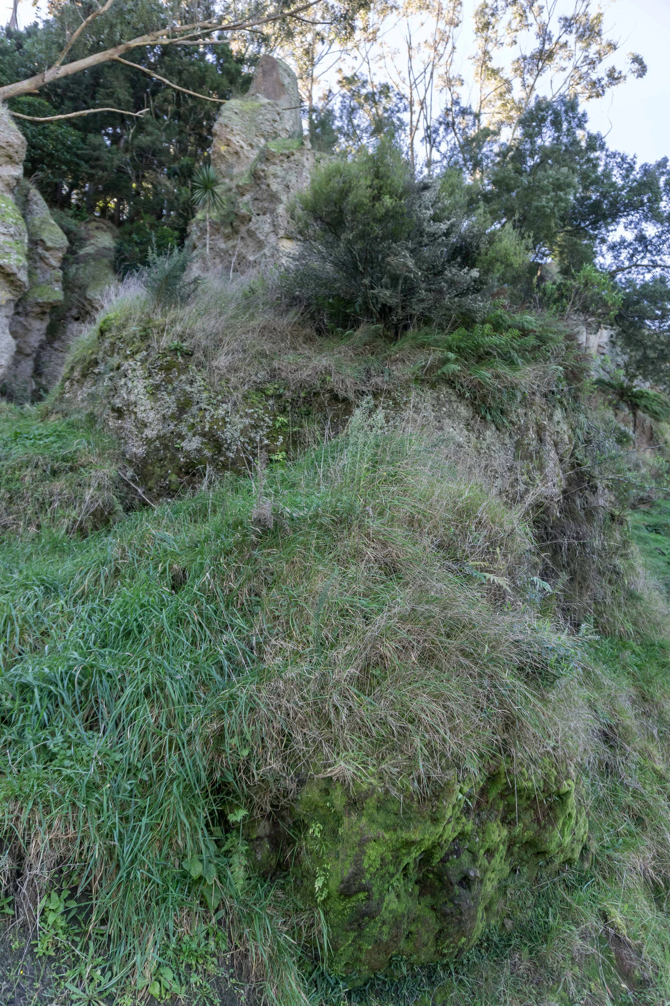 porous limestone cliffs 071 — Скачать