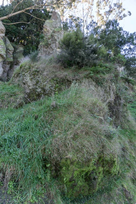 porous limestone cliffs 071 — Скачать