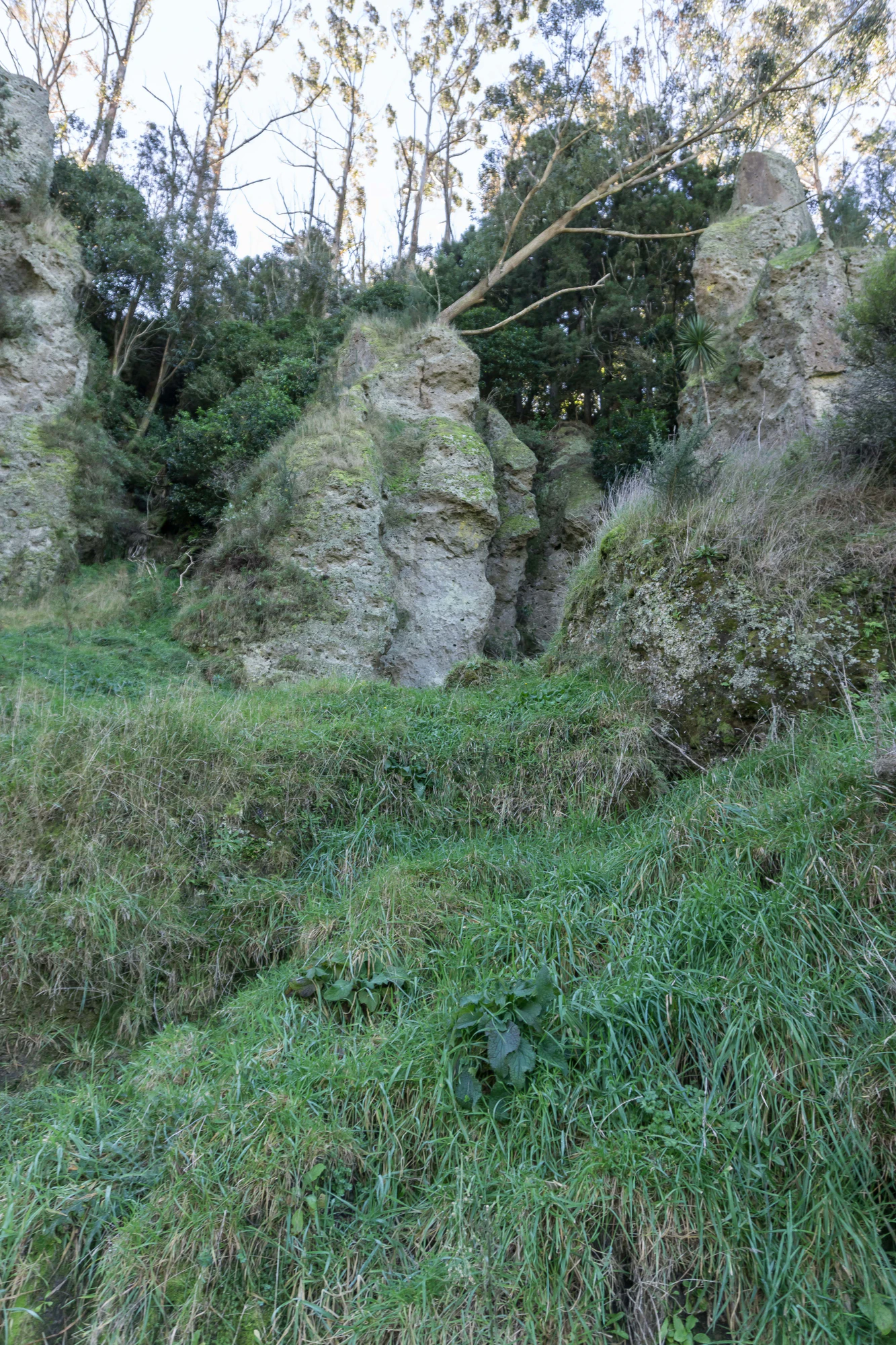 porous limestone cliffs 072 — Скачать