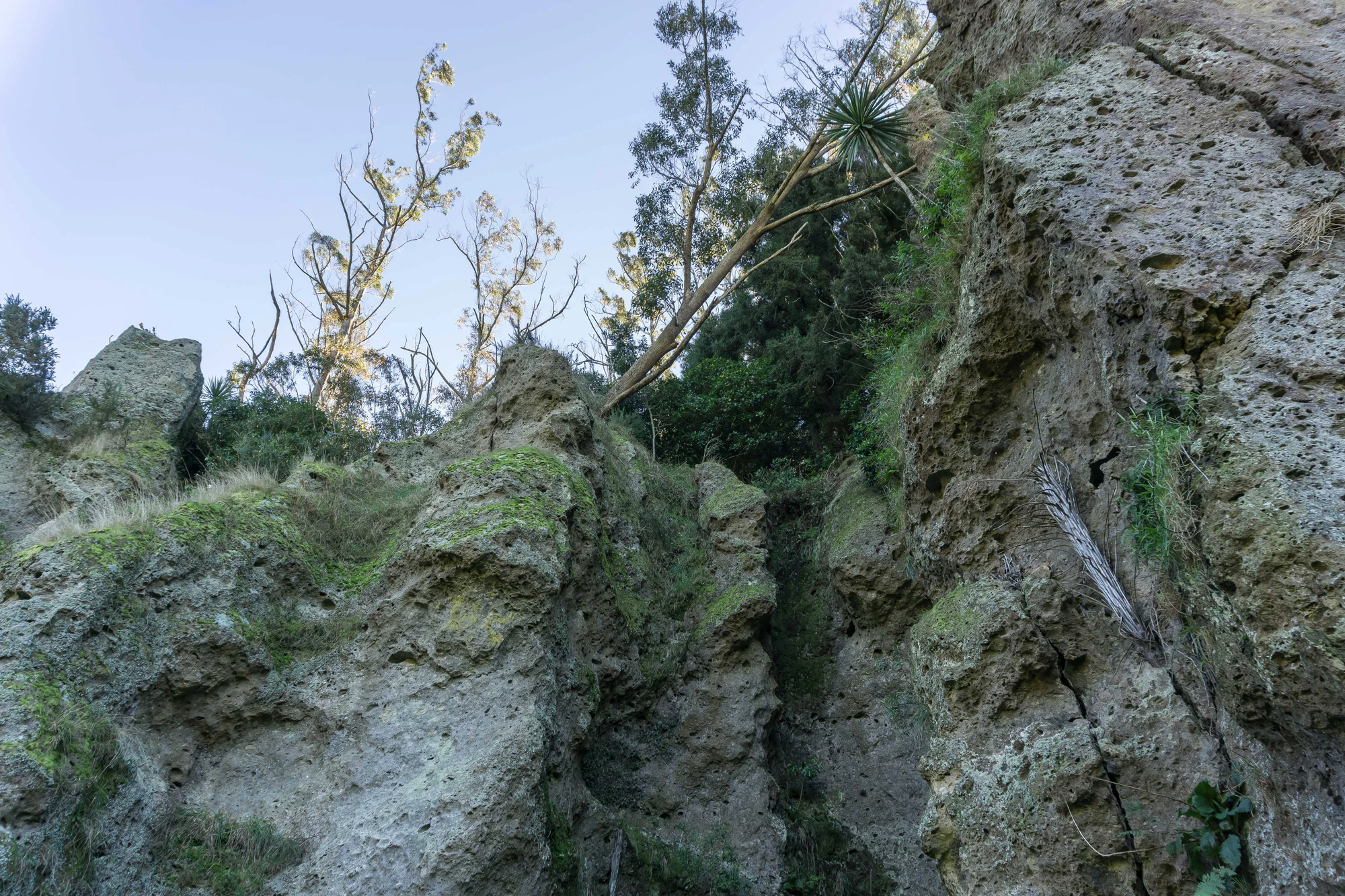 porous limestone cliffs 074 — Descargar