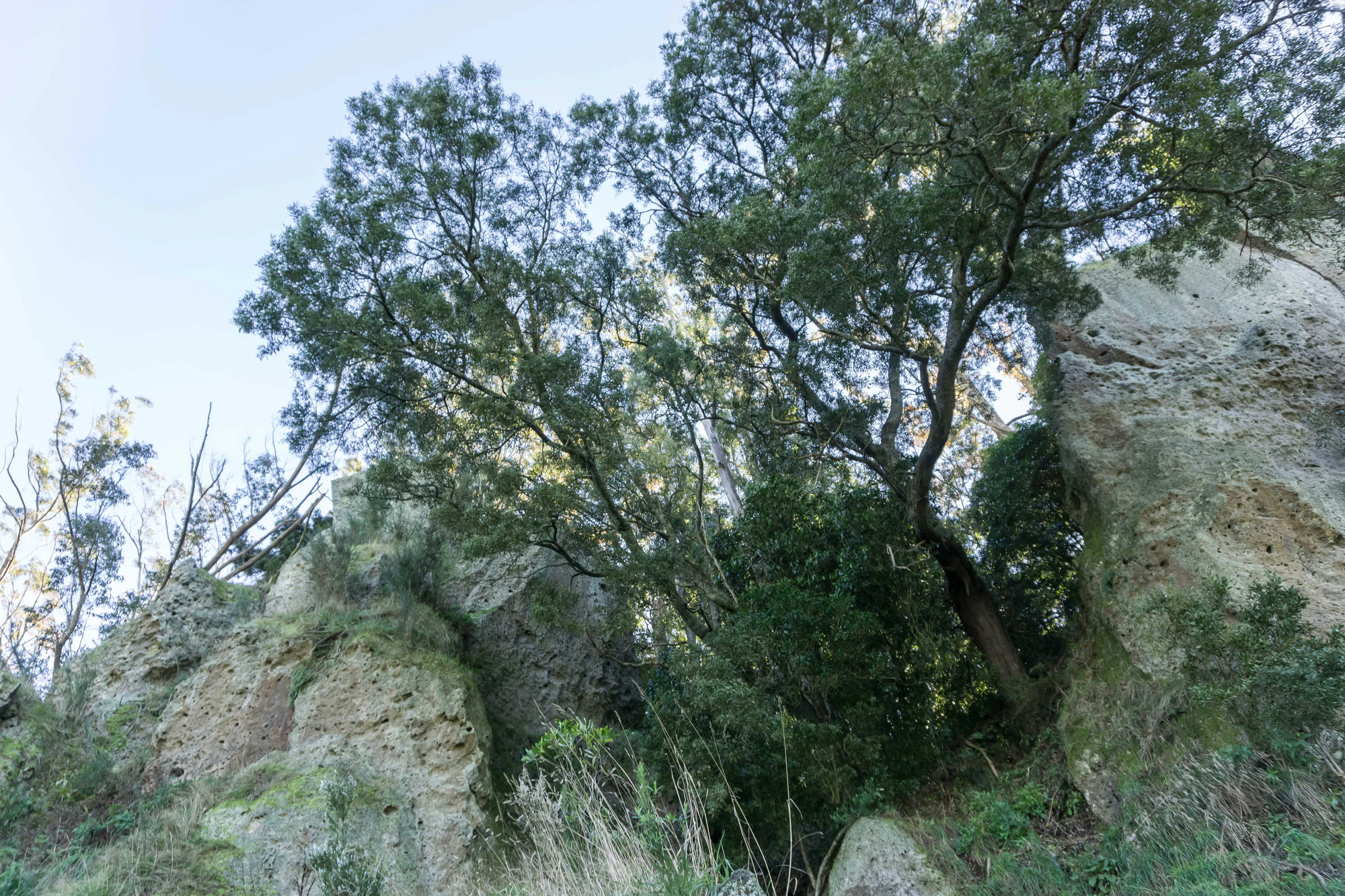 porous limestone cliffs 079 — Descargar