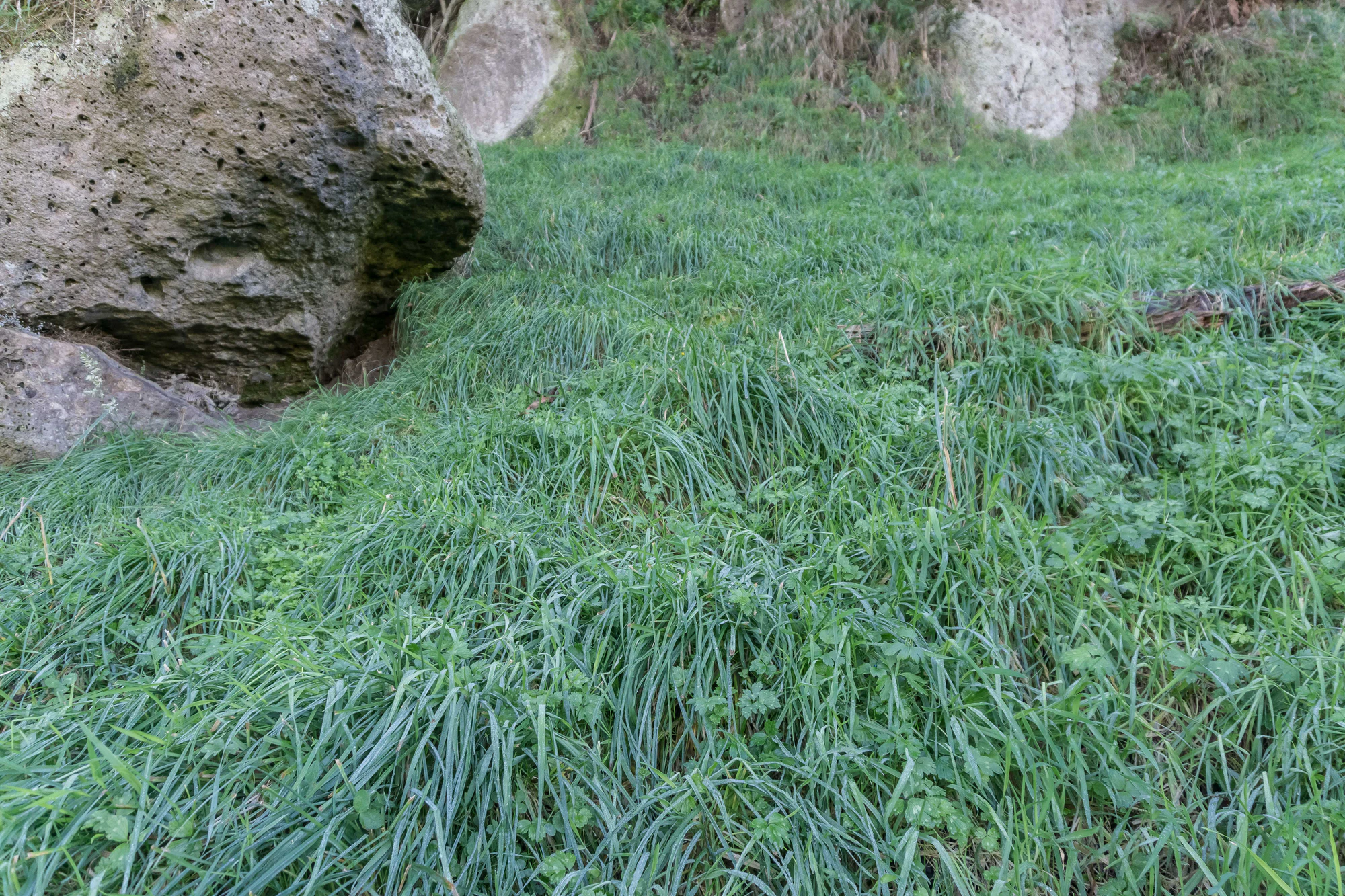 porous limestone cliffs 081 — Скачать
