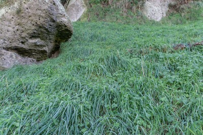 porous limestone cliffs 081 — Скачать