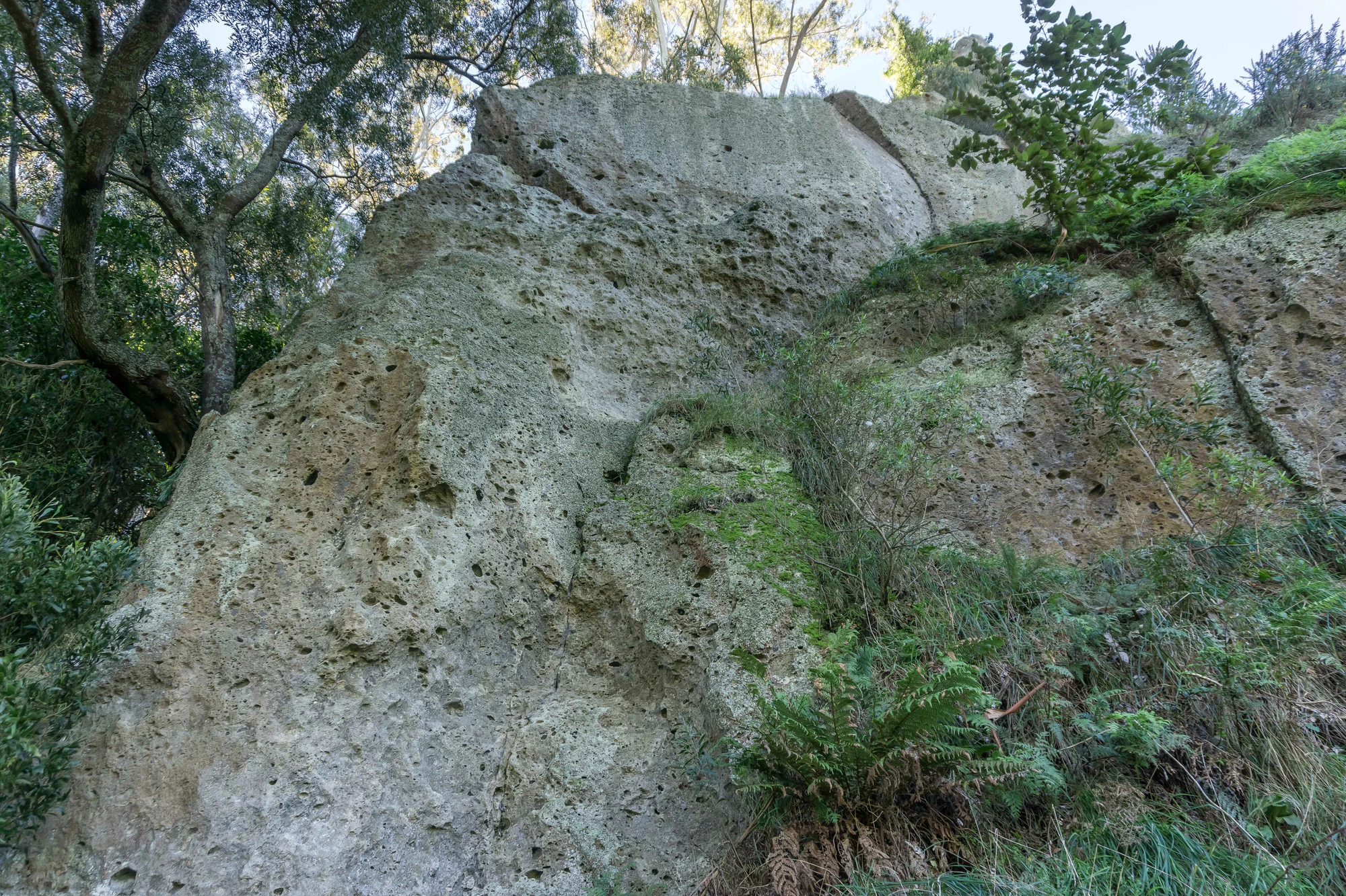 porous limestone cliffs 082 — Descargar