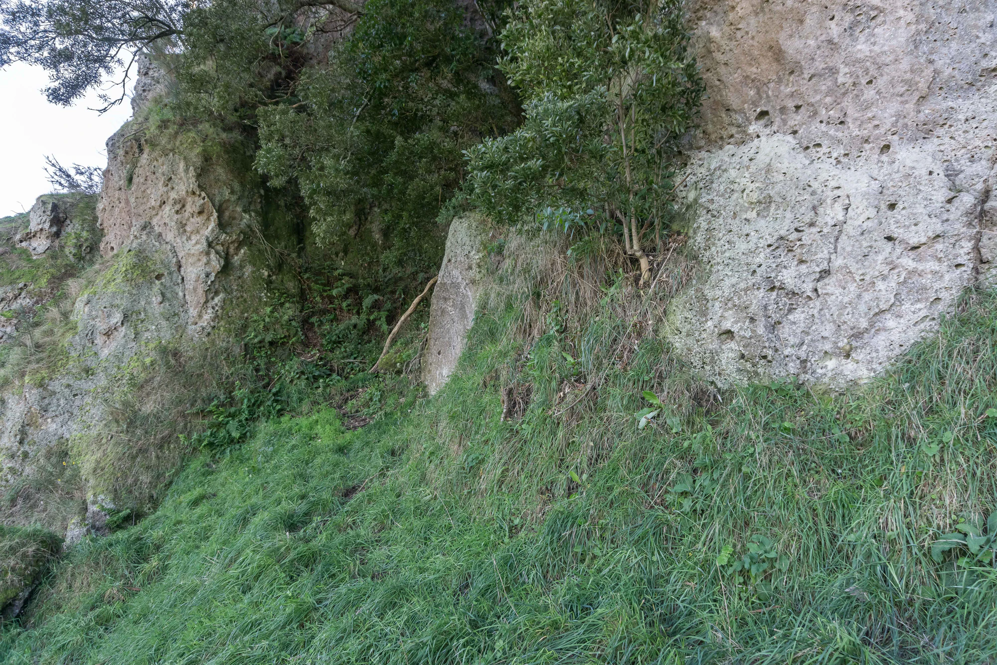 porous limestone cliffs 083 — Скачать