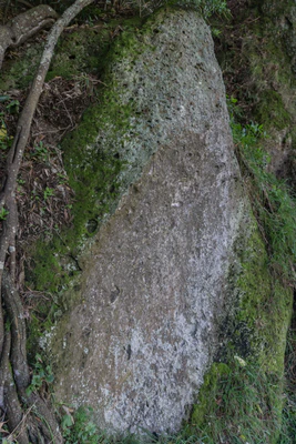 porous limestone cliffs 084 — Скачать