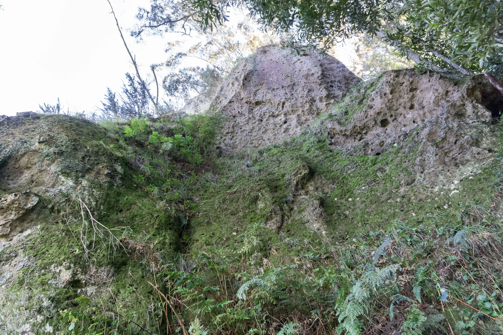 porous limestone cliffs 085 — Descargar