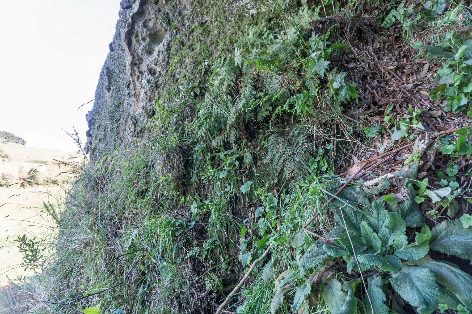 porous limestone cliffs 086 — Descargar