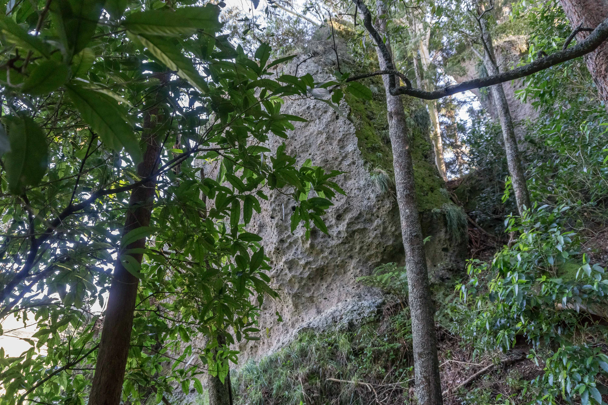 porous limestone cliffs 088 — Скачать