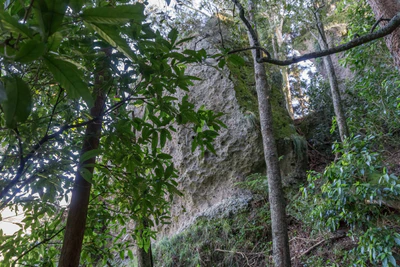 porous limestone cliffs 088 — Скачать